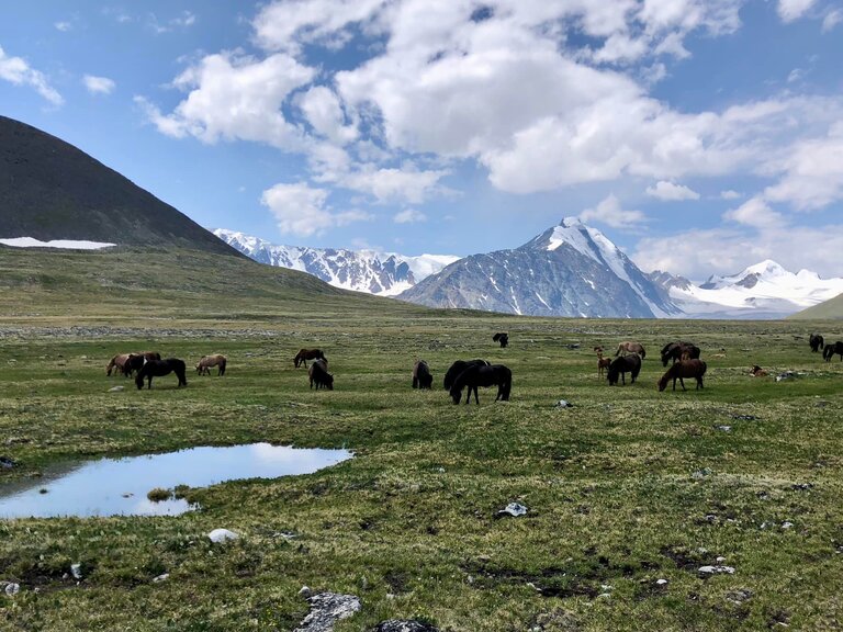 アルタイ山脈 モンゴル観光で人気のスポット Altai Tavan Bogd National Park