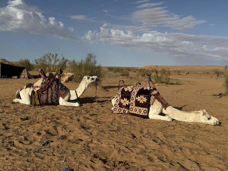 taghit アルジェリアの観光 サハラ砂漠 ラクダ