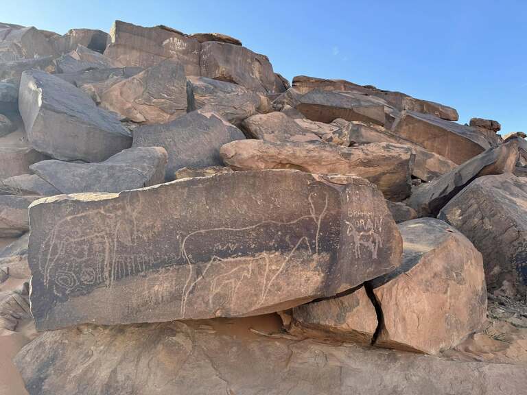 taghit アルジェリアの観光 サハラ砂漠 岩絵 古代遺跡