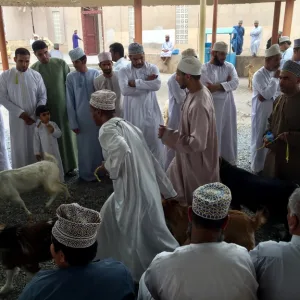 オマーンの観光・Nizwa Friday Livestock Market