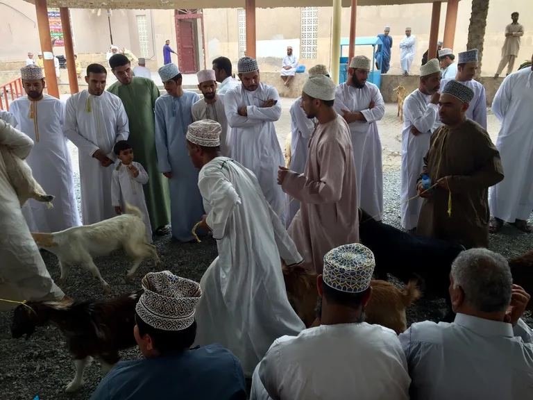 オマーンの観光・Nizwa Friday Livestock Market