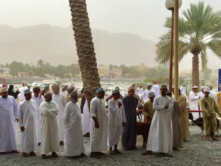 オマーンの観光・Nizwa Friday Livestock Market