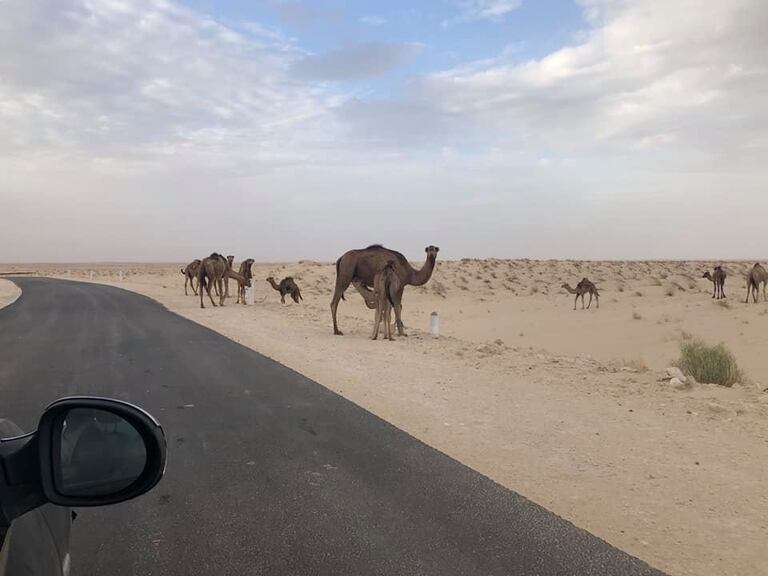 ケビリ ジェリド湖 スターウォーズのロケ地 Tozeur チュニジアの観光