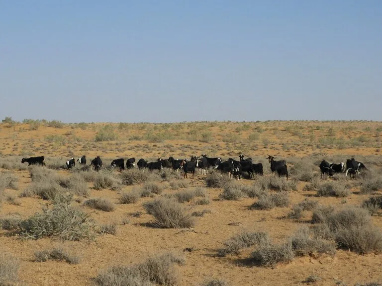 トルクメニスタンの観光 地獄の門