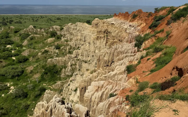 ã¢ã³ãŽã© 芳å
ãã©ããŠãã»ãã»ã«ã¢ æµ·å€æ
è¡ ã¢ããªã« çµ¶æ¯ äžçäžåš ããããã¹ããã èªç¶