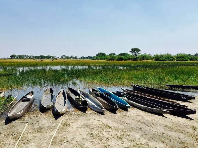 ボツワナの観光 オカバンゴ・デルタ（Okavango Delta）