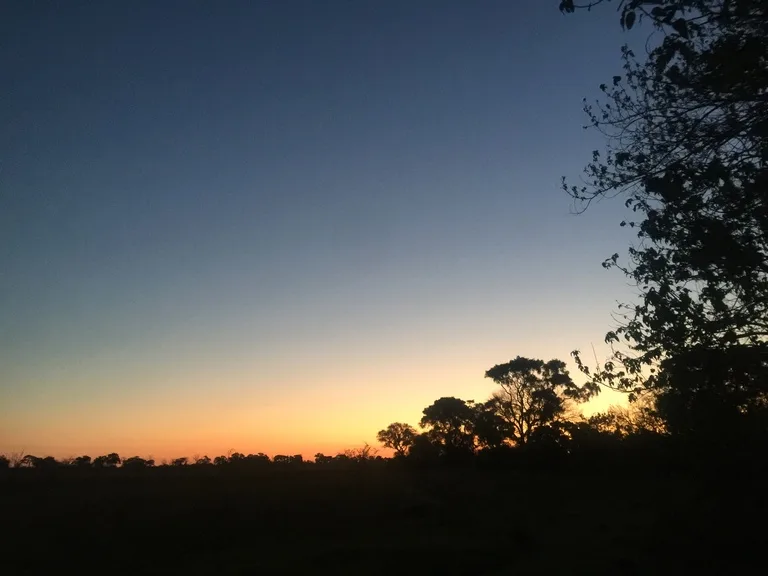 ボツワナの観光 オカバンゴ・デルタ（Okavango Delta）