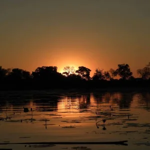 ボツワナの観光 オカバンゴ・デルタ（Okavango Delta）