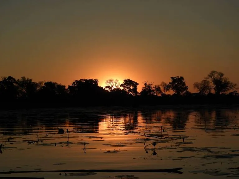 ボツワナの観光 オカバンゴ・デルタ（Okavango Delta）