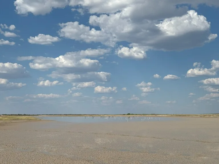 ボツワナの観光 マカディカディ塩湖（Makgadikgadi Pans）