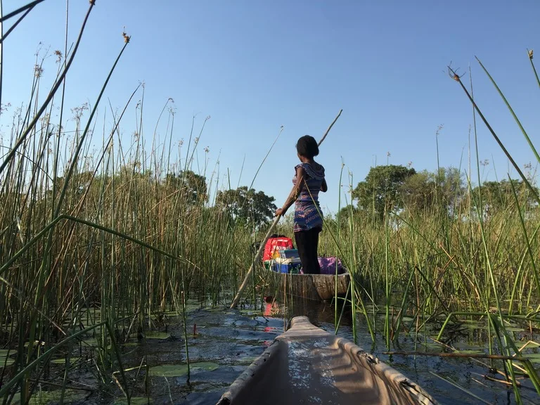 ボツワナの観光 オカバンゴ・デルタ（Okavango Delta）