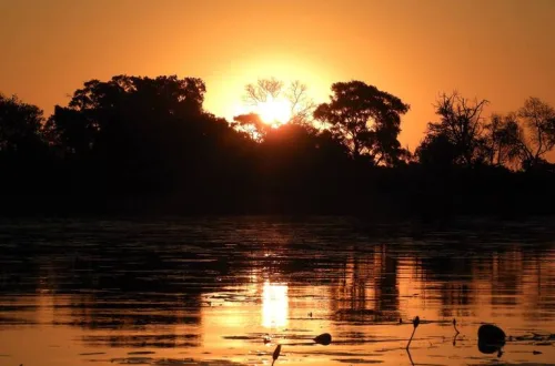 オカバンゴ・デルタ ボツワナの世界遺産 観光