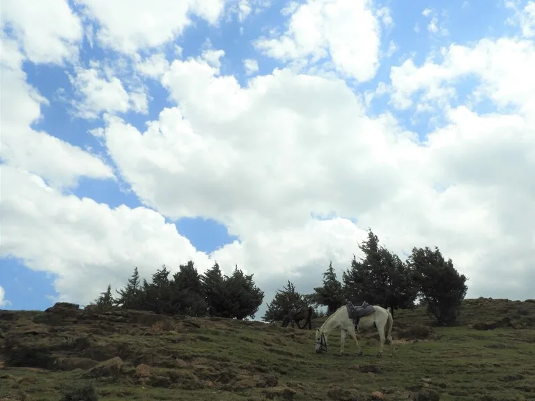 Semonkong Lodge レソトの観光