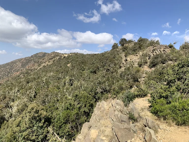 サウダ山（Mt. Soudah）サウジアラビアの観光