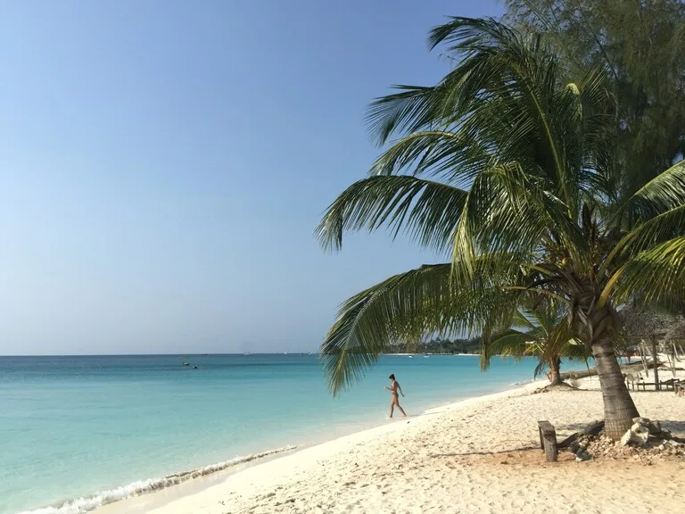 マフィア島 タンザニアの観光