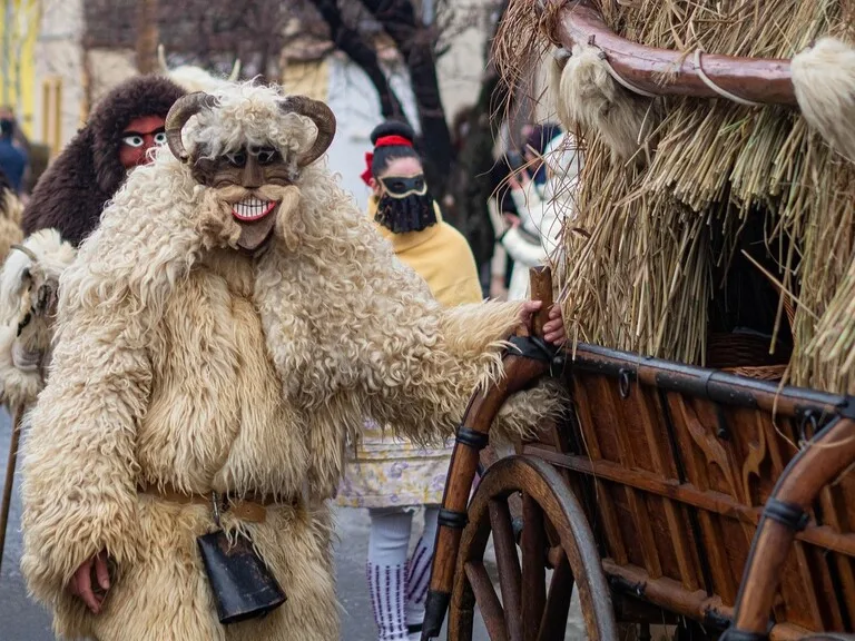 ハンガリーのモハーチで行われる「ブショー・ヤーラーシュ」の様子