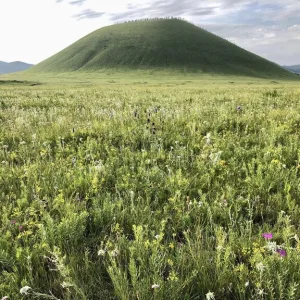 モンゴル 7月の海外旅行
