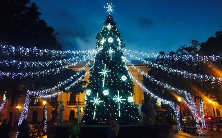 プエルトリコ 12月 クリスマスツリー