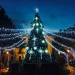 プエルトリコ 12月 クリスマスツリー