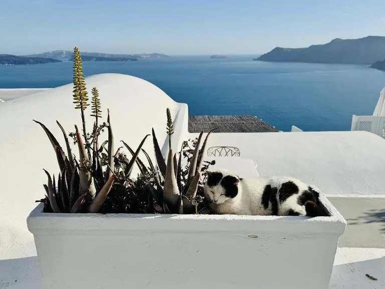 サントリーニ島 ギリシャの観光