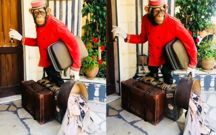 パレスチナ バンクシーホテル 世界一眺めの悪いホテル The Walled Off Hotel