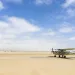 旅行 飛行機 ナミビア スカイダイビング