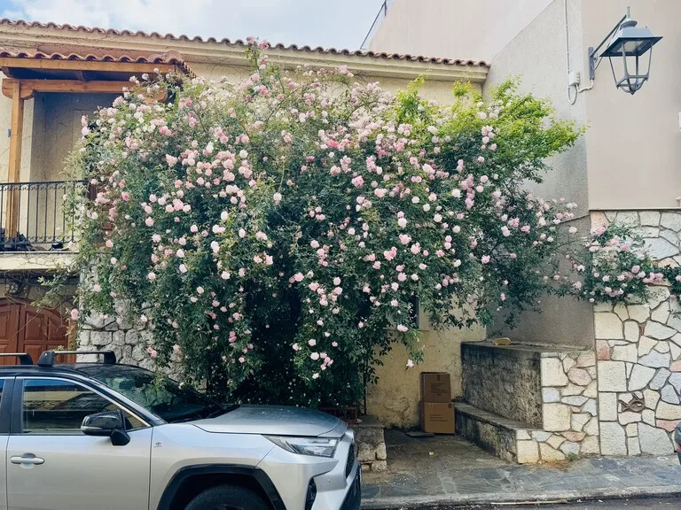 デルフィ遺跡 世界遺産 ギリシャ 観光