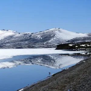 キルギス 観光 ソンクル湖
