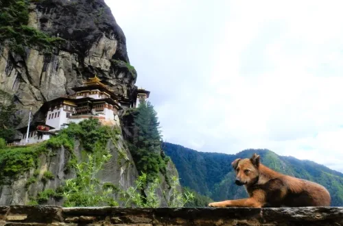 タクツァン僧院 ブータン 観光