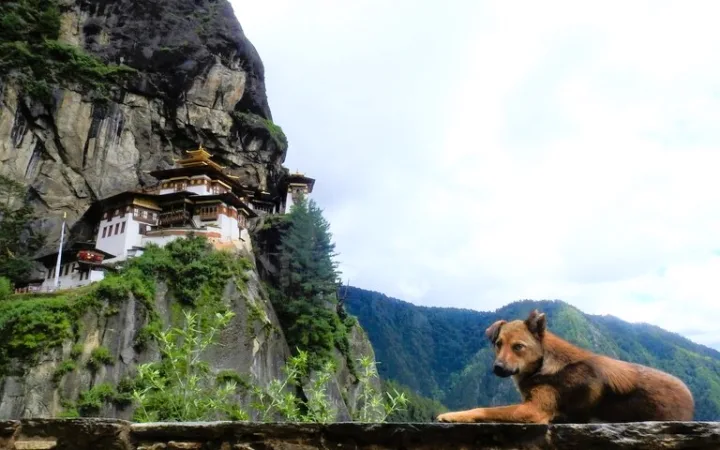 タクツァン僧院 ブータン 観光