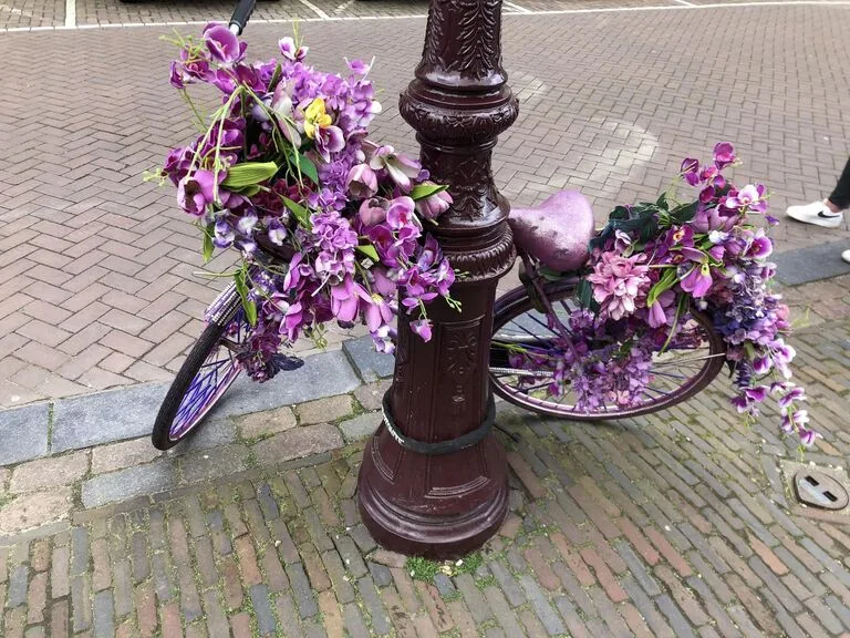 オランダ 観光 自転車
