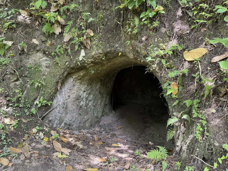 ラバウル 観光 日本軍地下病院 パプアニューギニア