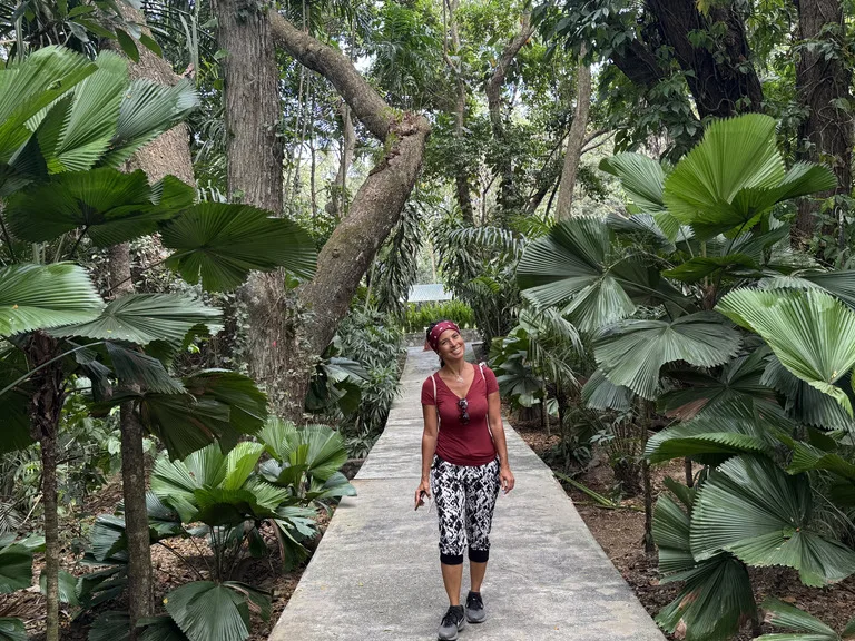Port-Moresby-Nature-Park パプアニューギニア ポートモレスビー 観光