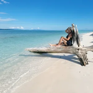 ソロモン諸島 観光 ギゾ