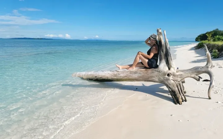ソロモン諸島 観光 ギゾ