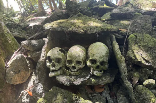 ソロモン諸島 観光 ムンダ skull-island
