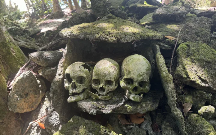 ソロモン諸島 観光 ムンダ skull-island