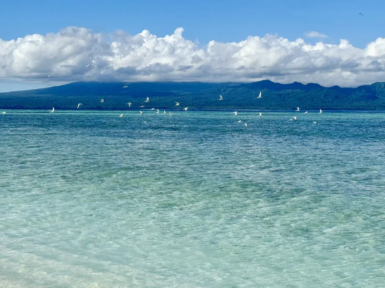 ソロモン諸島 観光 ギゾ ビーチ