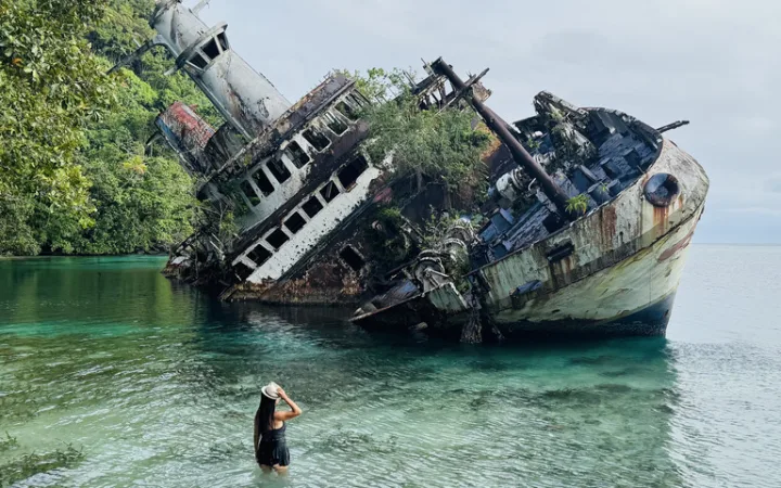 ソロモン諸島 観光 Roderick-bay 難破船 world-discovery