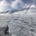 スバールバル諸島（svalbard）の流氷と氷山