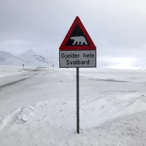 スバールバル諸島(svalbard)の白クマの看板