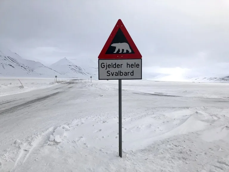 スバールバル諸島（svalbard）の白クマの看板