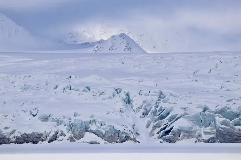 スバールバル諸島（svalbard）の氷河