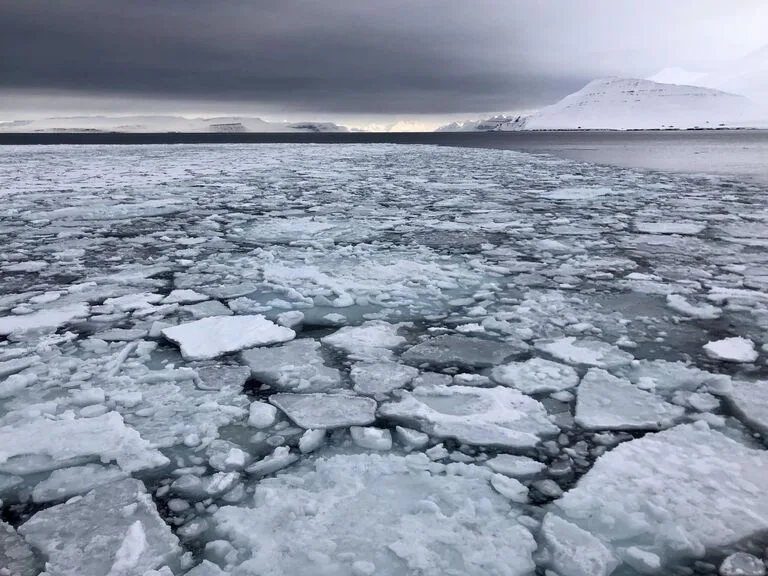 スバールバル諸島（svalbard）の流氷