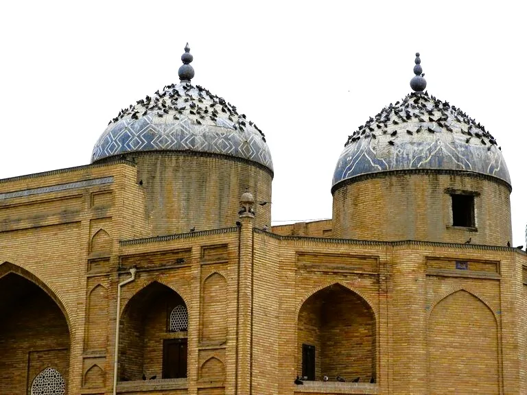 タジキスタン、ホジャンドにある観光名所、Sheikh Muslihiddin Mausoleum(シェイク・ムスリヒディン霊廟)のドームで休む鳩の群れ