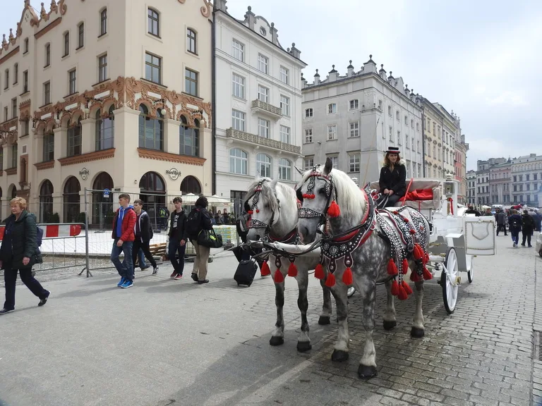 クラクフのRynek Główny（中央市場広場）と馬車