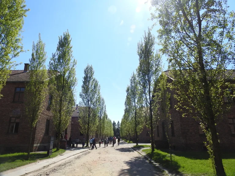 アウシュヴィッツ博物館の敷地に整然と並ぶ歴史的建物と歩道