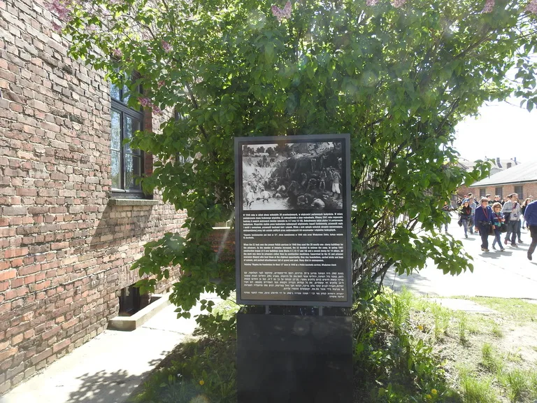 アウシュヴィッツ強制収容所の敷地内に置かれた説明パネル