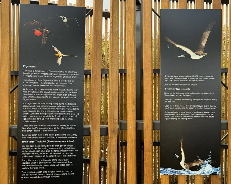 クリスマス島国立公園内にあるMargaret Knoll(マーガレット・ノール)の展示品