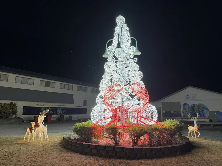 オーストラリア領クリスマス島の野外に設置されたクリスマスツリーとカニのデコレーション